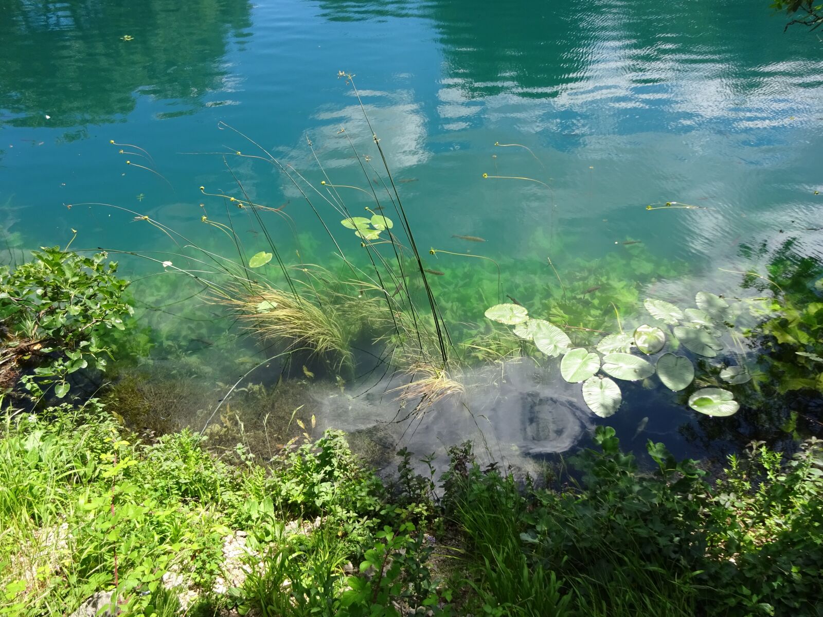 Sony Cyber-shot DSC-WX350 sample photo. Nature, water, landscape photography