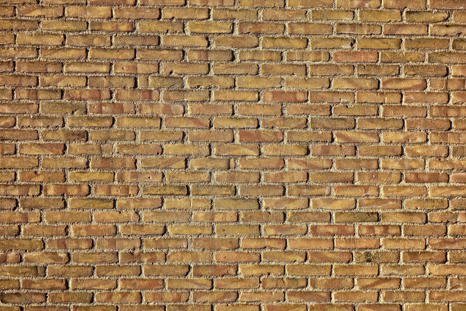 Sony Cyber-shot DSC-RX100 sample photo. Brick wall, wall, brickwork photography