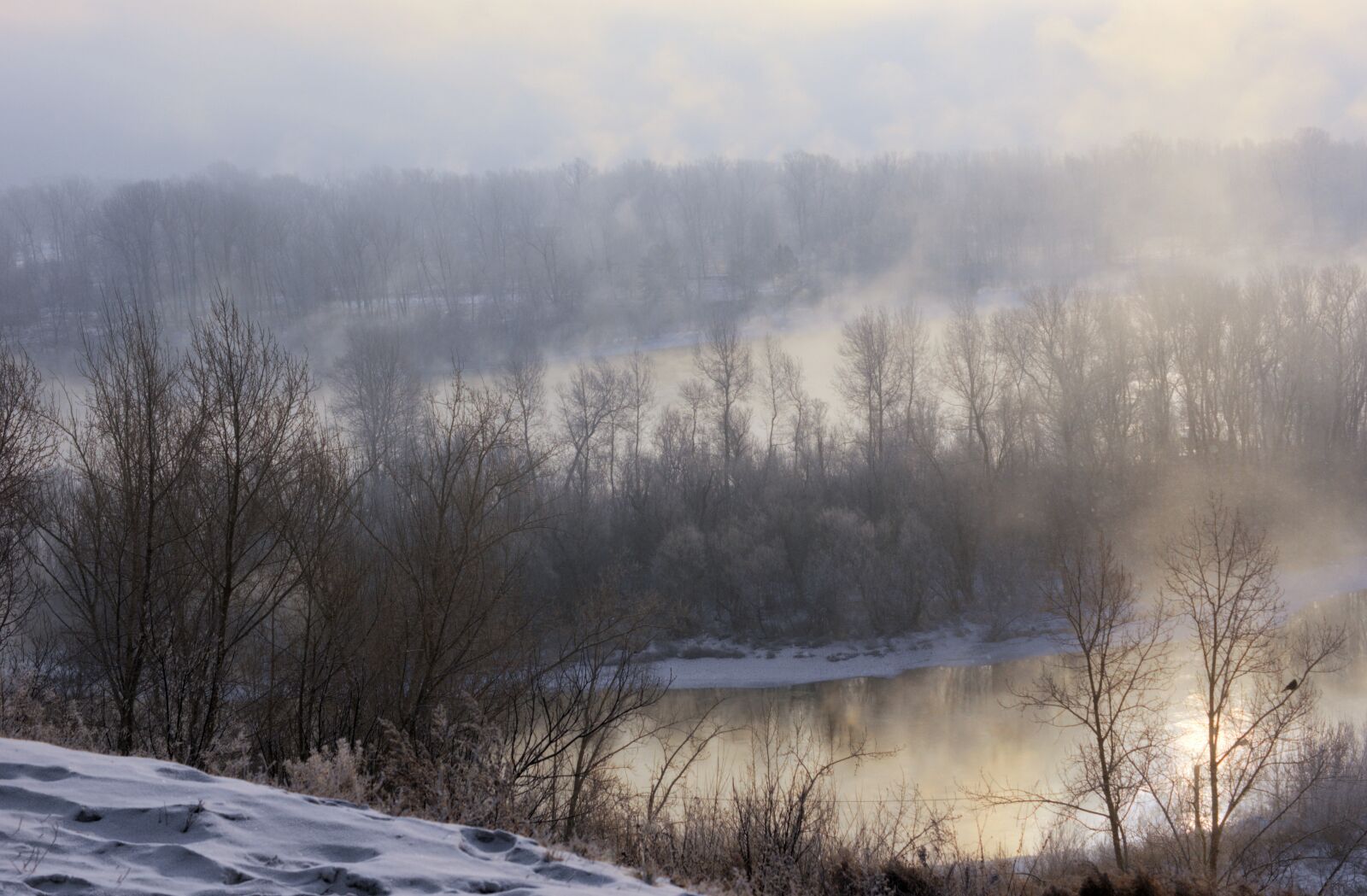 Sony SLT-A57 + Sony DT 50mm F1.8 SAM sample photo. Frost, river, morning photography