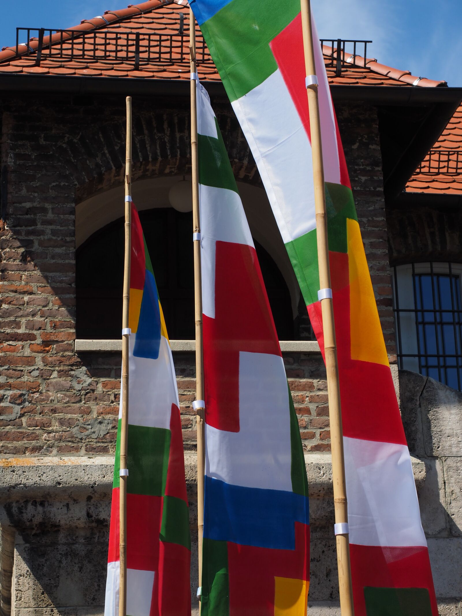 Olympus OM-D E-M1 + Olympus M.Zuiko Digital ED 12-40mm F2.8 Pro sample photo. Flags, colorful, blow photography
