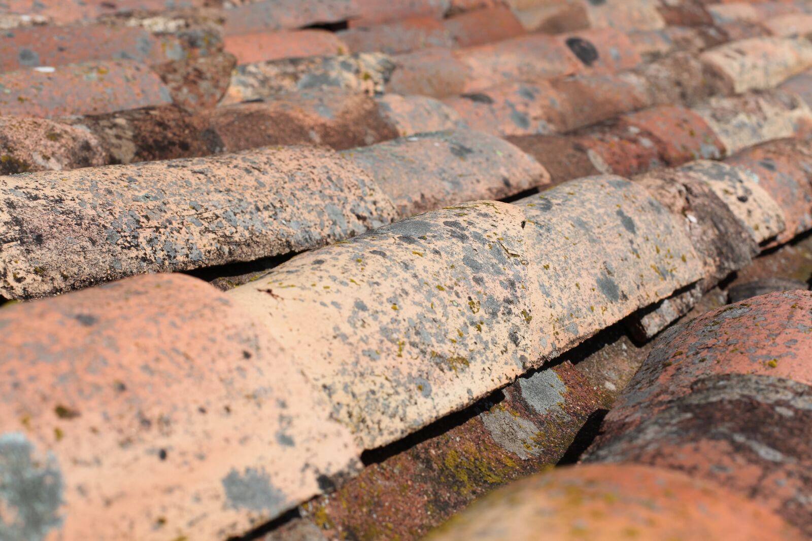 Canon EOS 5D Mark II sample photo. Old, roof photography