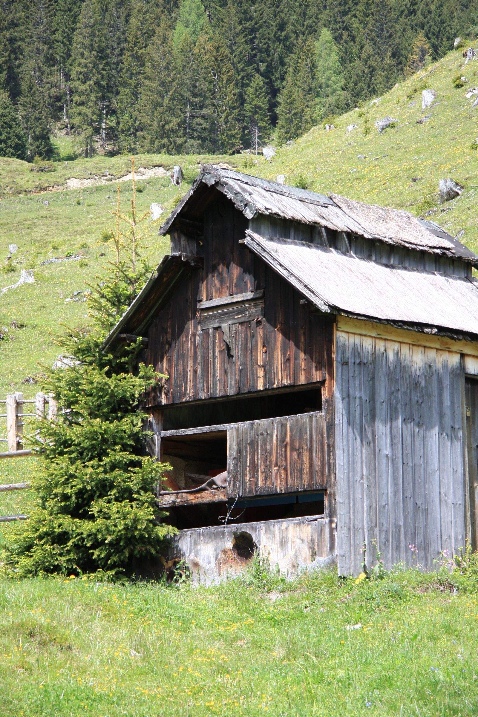 Canon EOS 40D sample photo. Alpine hut, alm, nature photography