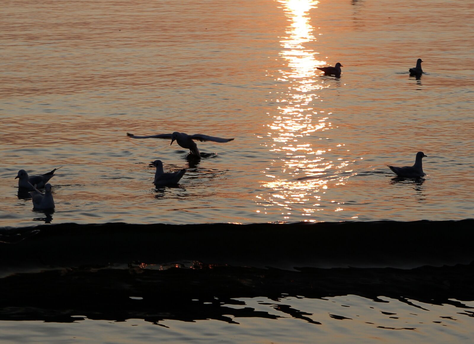 Canon EOS 700D (EOS Rebel T5i / EOS Kiss X7i) sample photo. Sunrise, great, water photography
