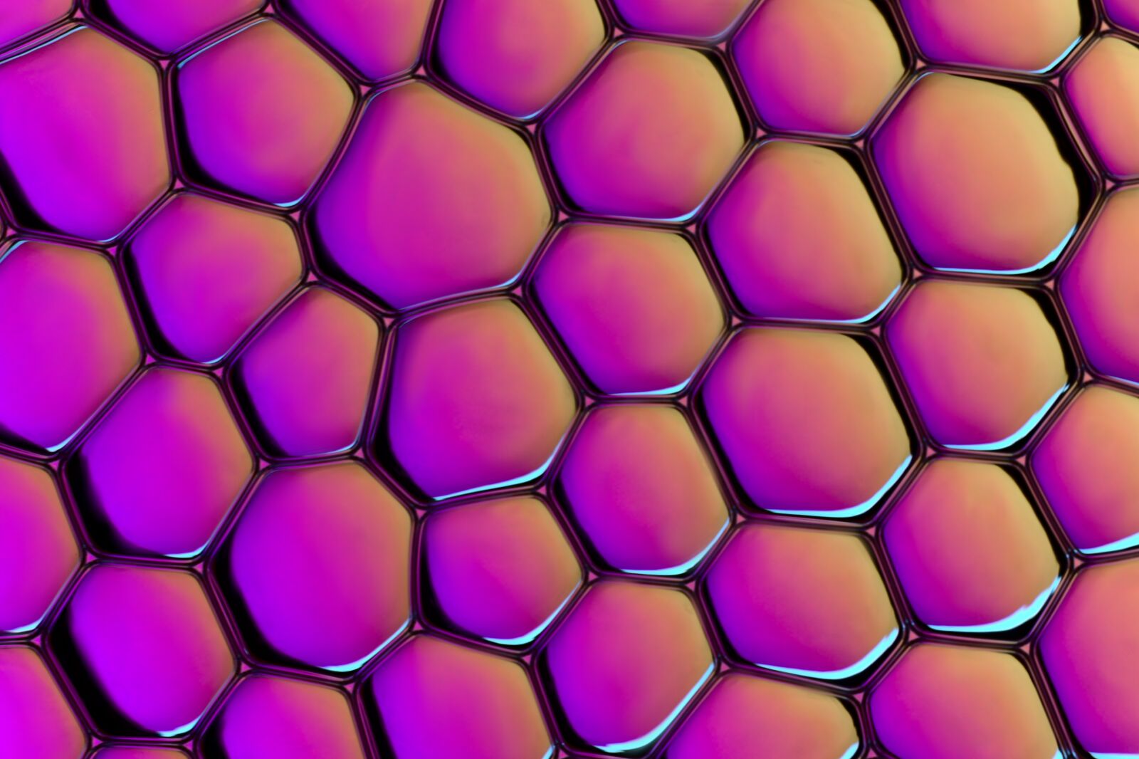 Canon EOS 77D (EOS 9000D / EOS 770D) sample photo. Background, pattern, color photography