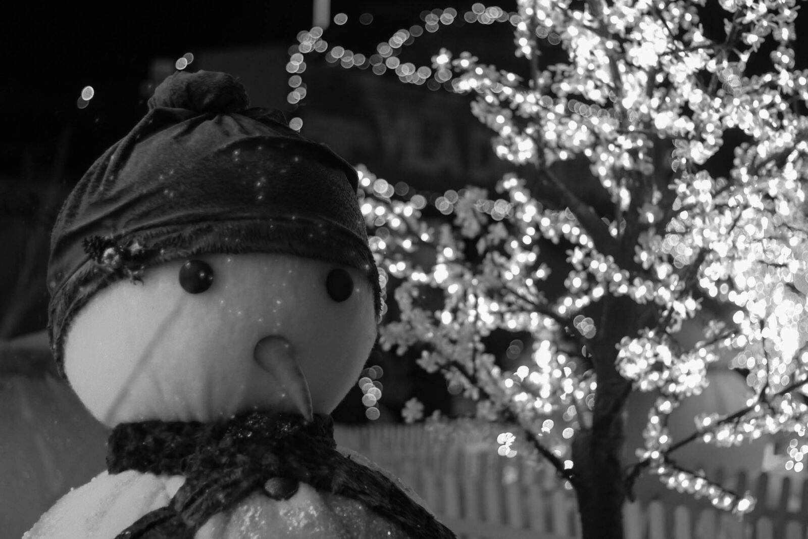 Canon EOS 1200D (EOS Rebel T5 / EOS Kiss X70 / EOS Hi) sample photo. Snowman photography