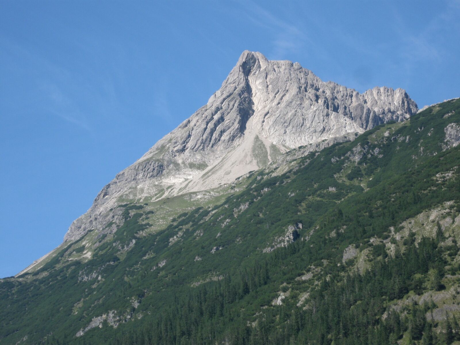 Canon PowerShot A590 IS sample photo. Beaver head, mountain, lech photography