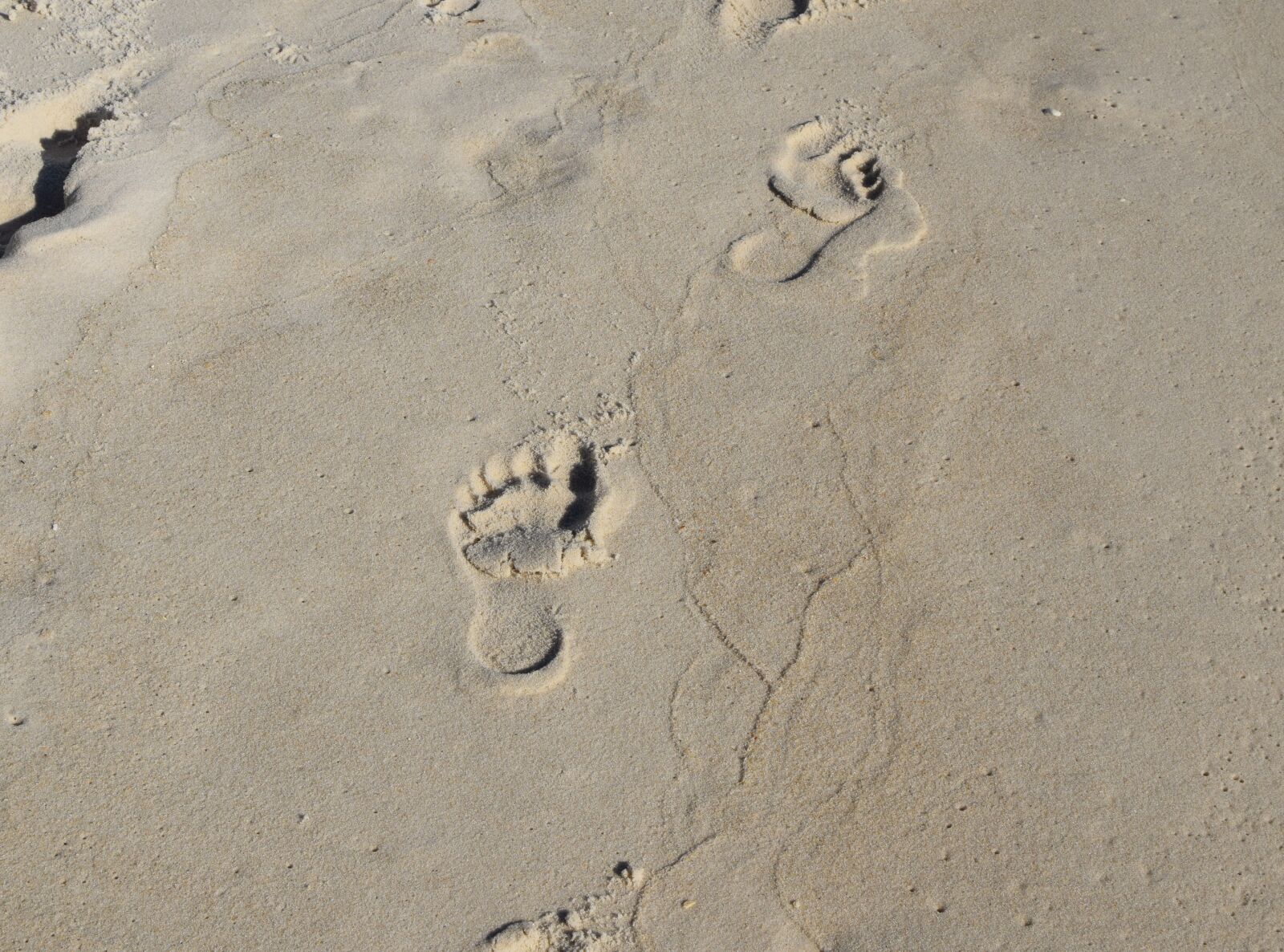 Nikon D3300 sample photo. Footprints in the sand photography