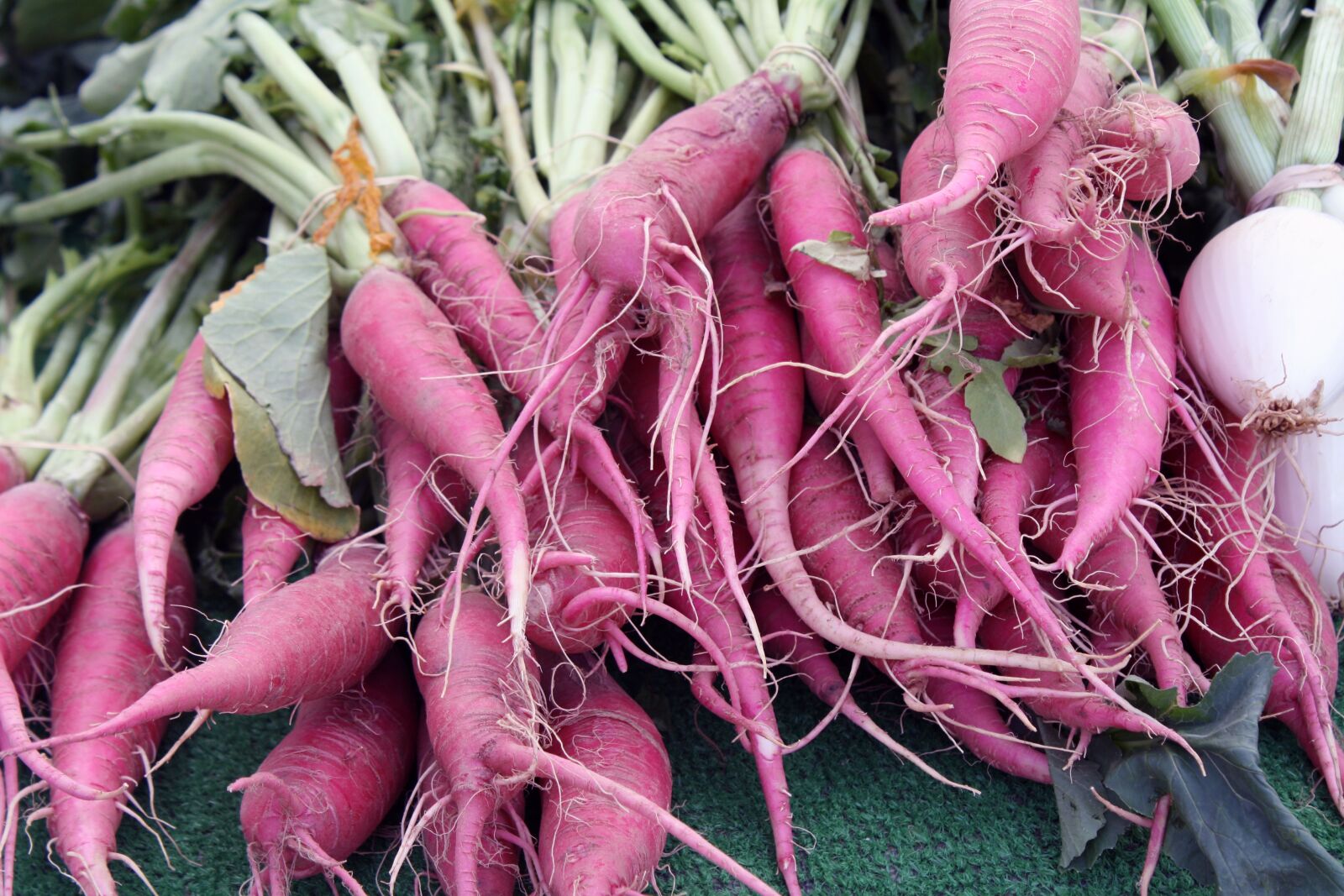 Canon EOS 1000D (EOS Digital Rebel XS / EOS Kiss F) sample photo. Carrot, parsnip, farmers photography