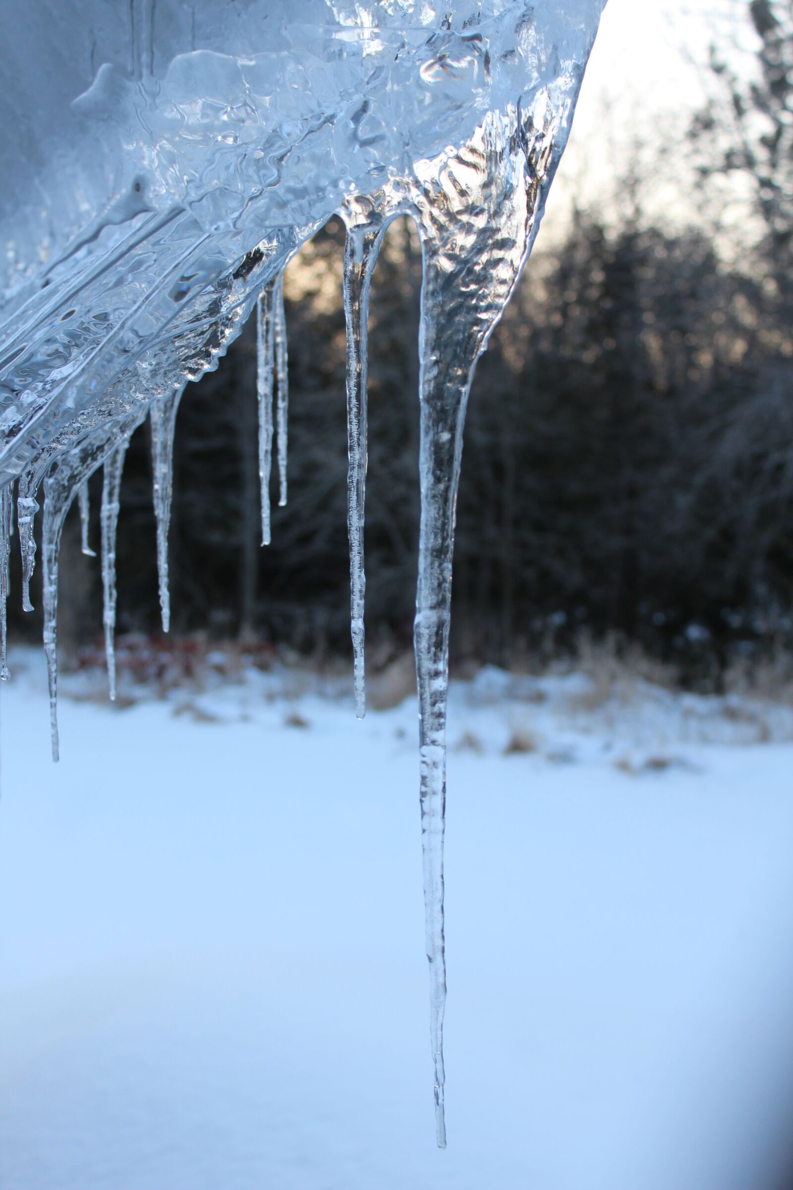 Canon EOS 1200D (EOS Rebel T5 / EOS Kiss X70 / EOS Hi) sample photo. Icicles, winter, cold photography