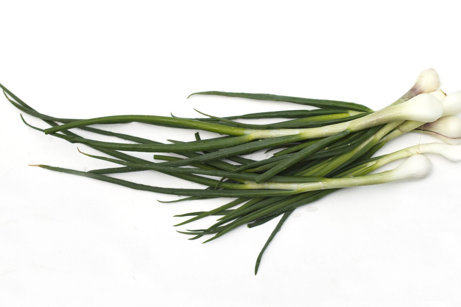Canon EOS 100D (EOS Rebel SL1 / EOS Kiss X7) sample photo. Plant, onion, spice, organic photography