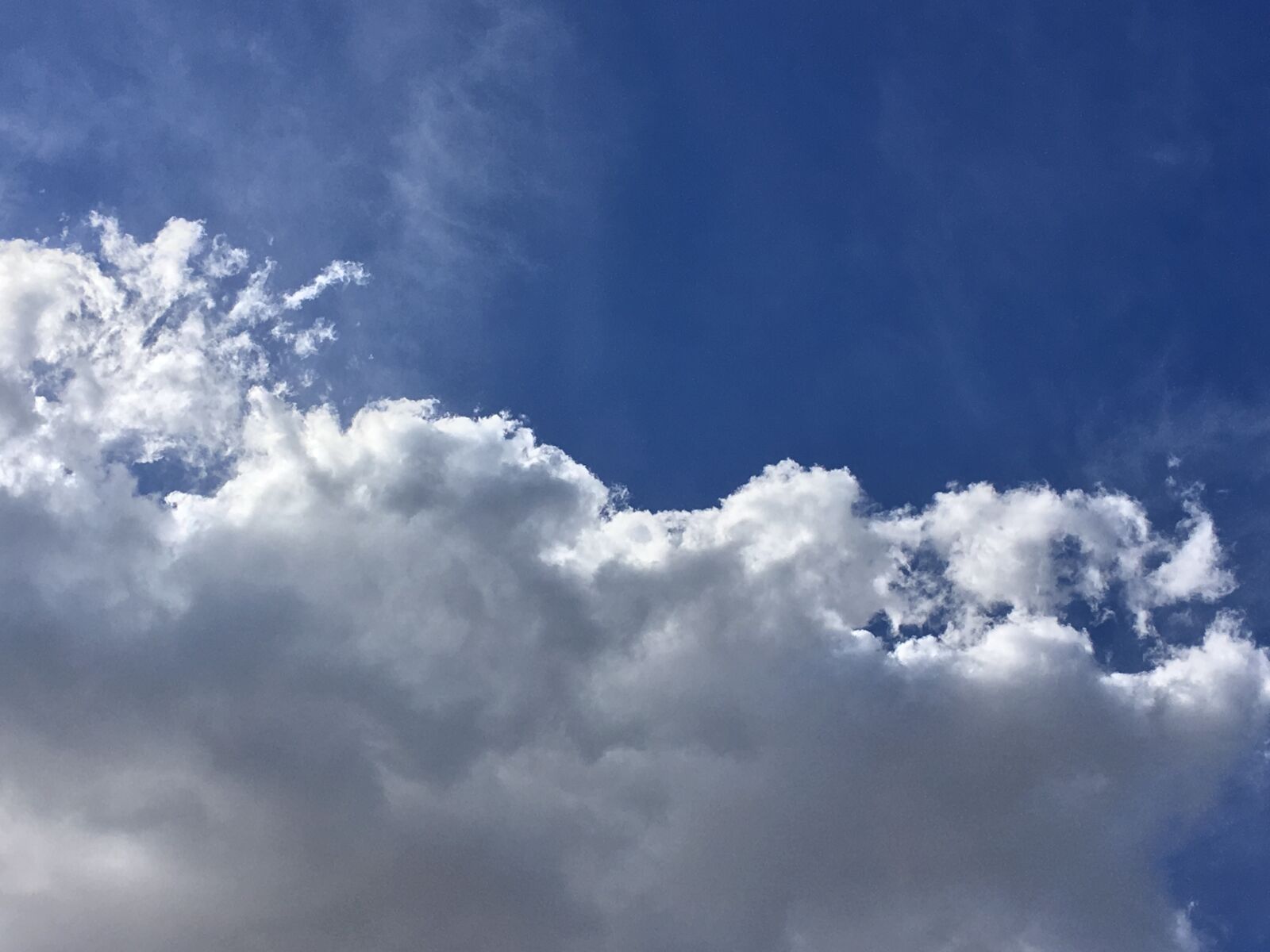 iPhone 6s Plus back camera 4.15mm f/2.2 sample photo. Cloud, white, white clouds photography