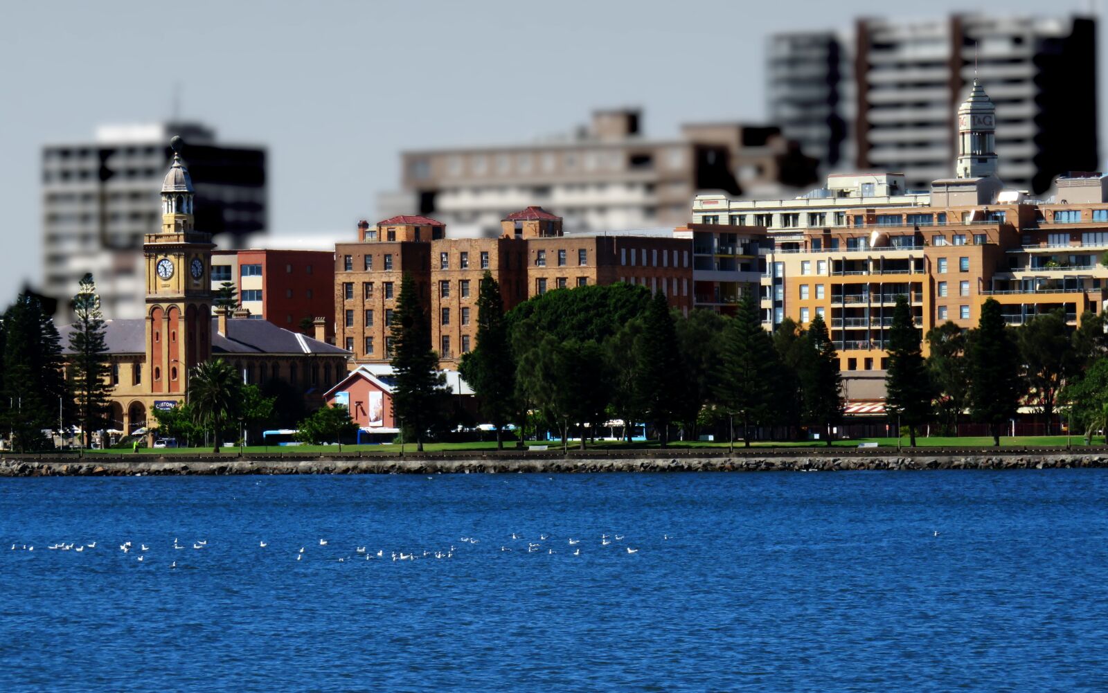 Canon PowerShot SX710 HS sample photo. Newcastle, new south wales photography