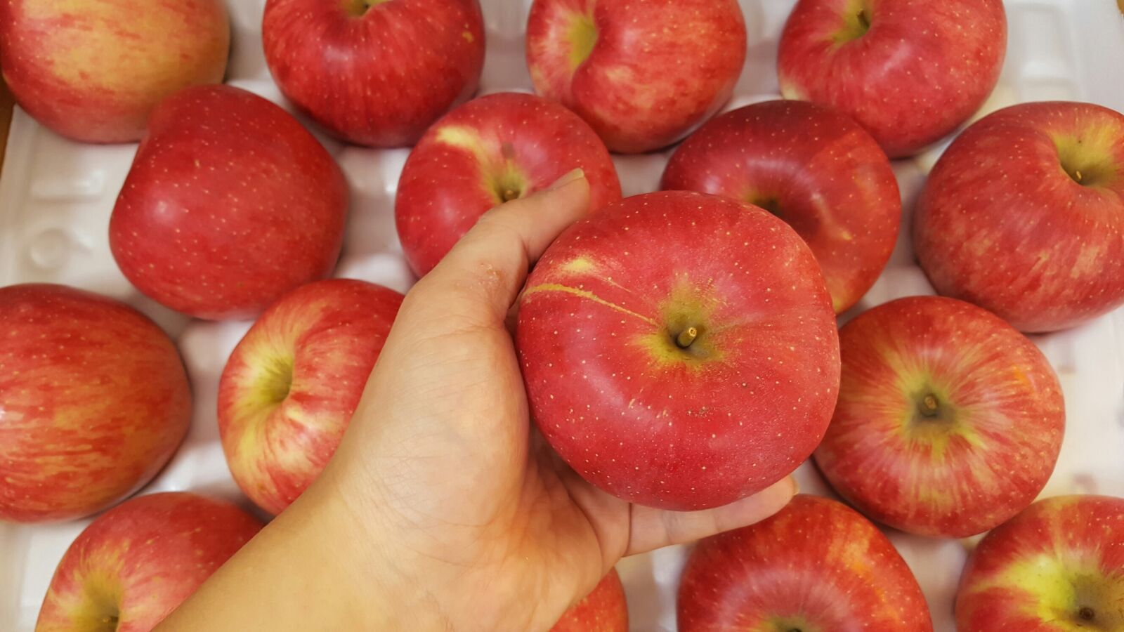 Samsung Galaxy S6 sample photo. Apple, red photography