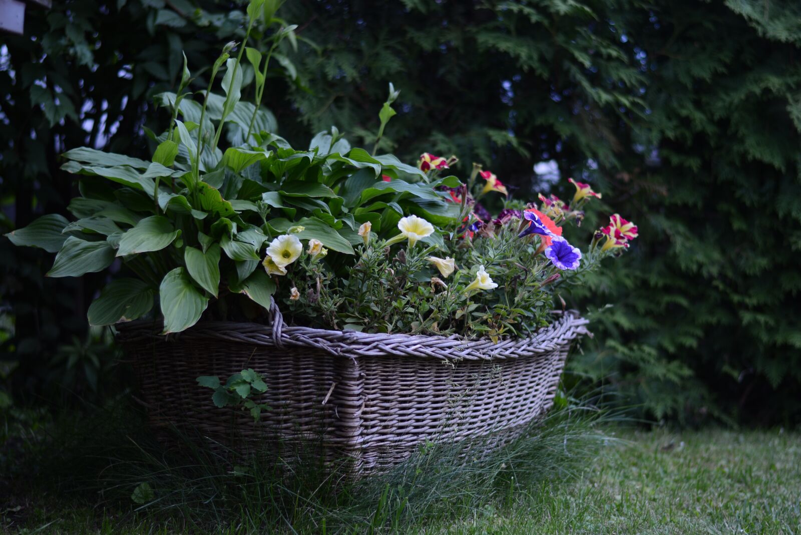 Nikon D7100 sample photo. Garden, the recycle bin photography