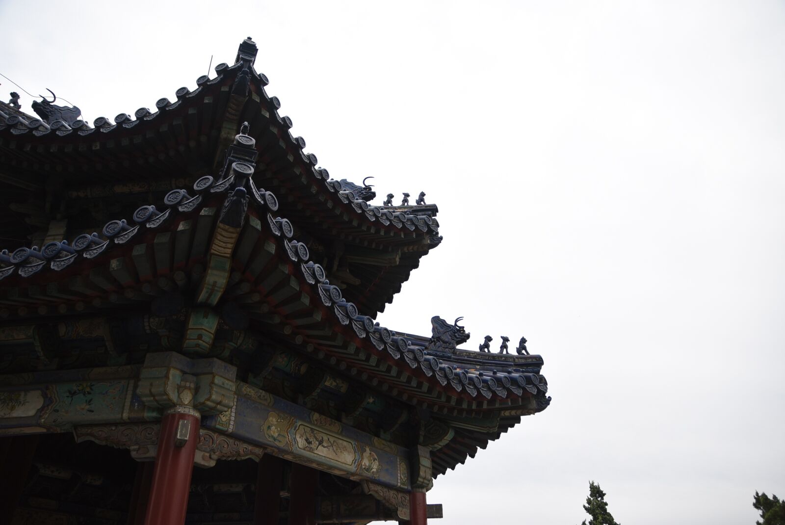 Nikon D3400 sample photo. The national palace museum photography
