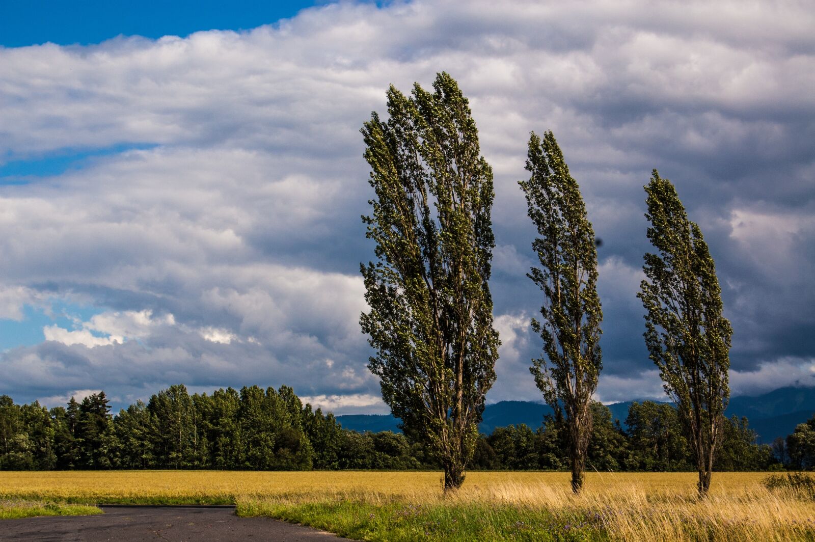 Nikon D40 sample photo. Slovakia, liptov, the sky photography