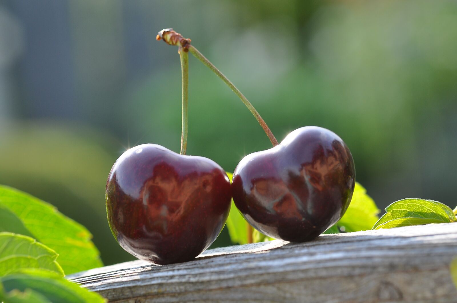 Nikon D90 sample photo. Cherry, pair, fruits photography