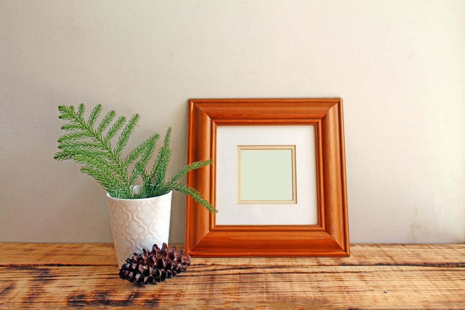 Canon EOS 1100D (EOS Rebel T3 / EOS Kiss X50) sample photo. Frame, mockup, photo photography