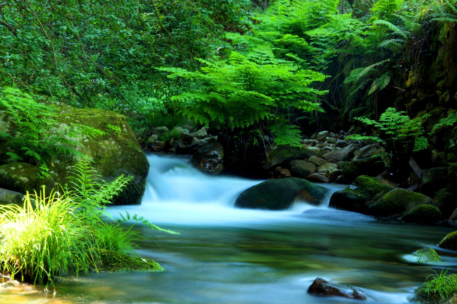 Canon EOS 550D (EOS Rebel T2i / EOS Kiss X4) sample photo. Agua, autumn, cascade photography