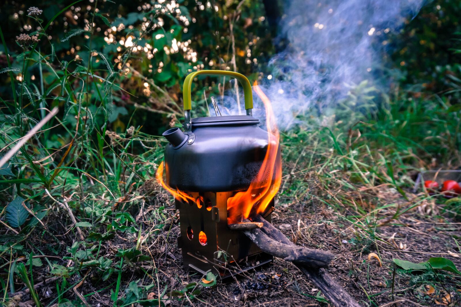 Sony Alpha a5000 (ILCE 5000) sample photo. Tea, pot, kettle photography