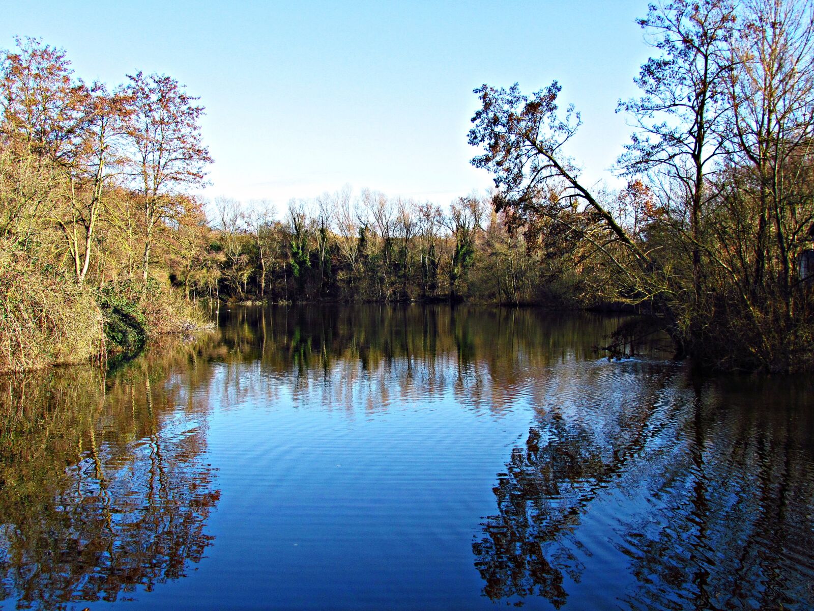 Canon PowerShot SX30 IS sample photo. Water, pond, tree photography