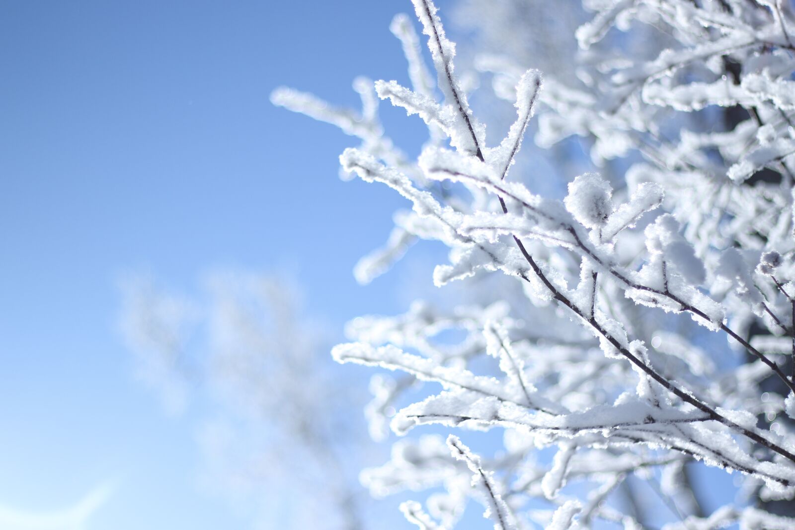 Canon EOS 7D Mark II sample photo. Snow, harbin, winter photography