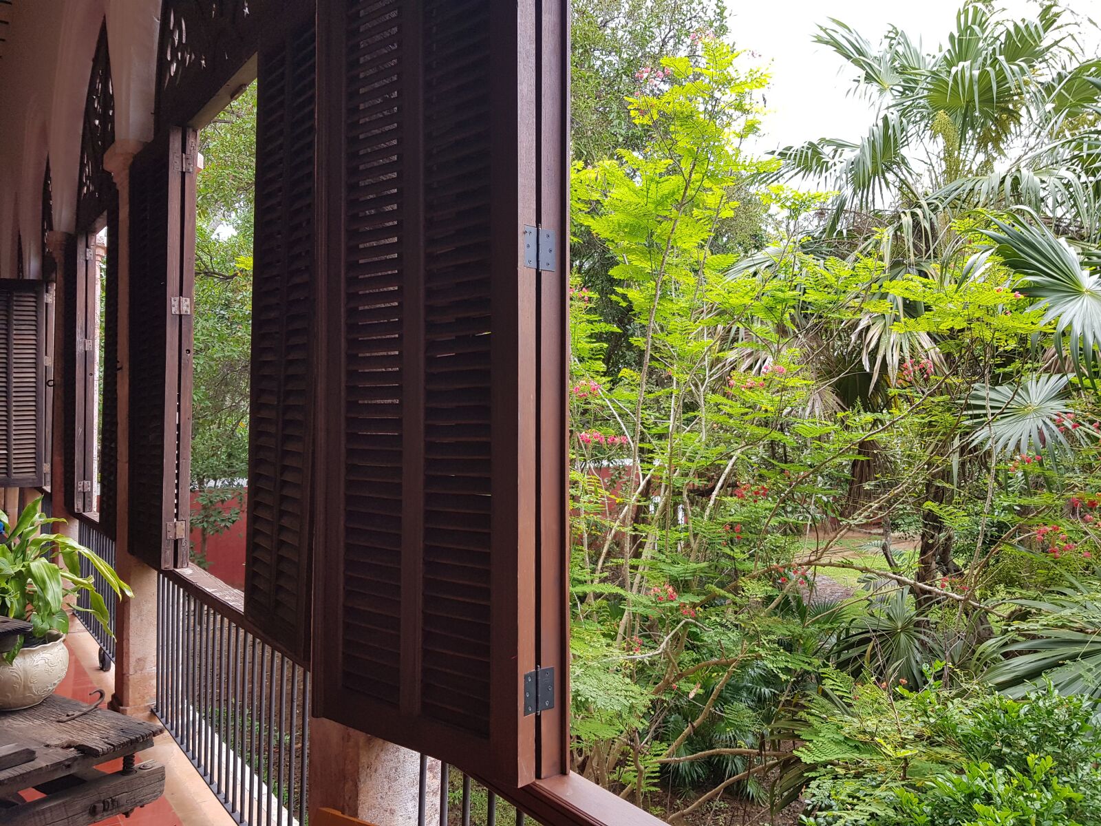 Samsung Galaxy S8+ sample photo. Jungle, mexico, yucatan photography