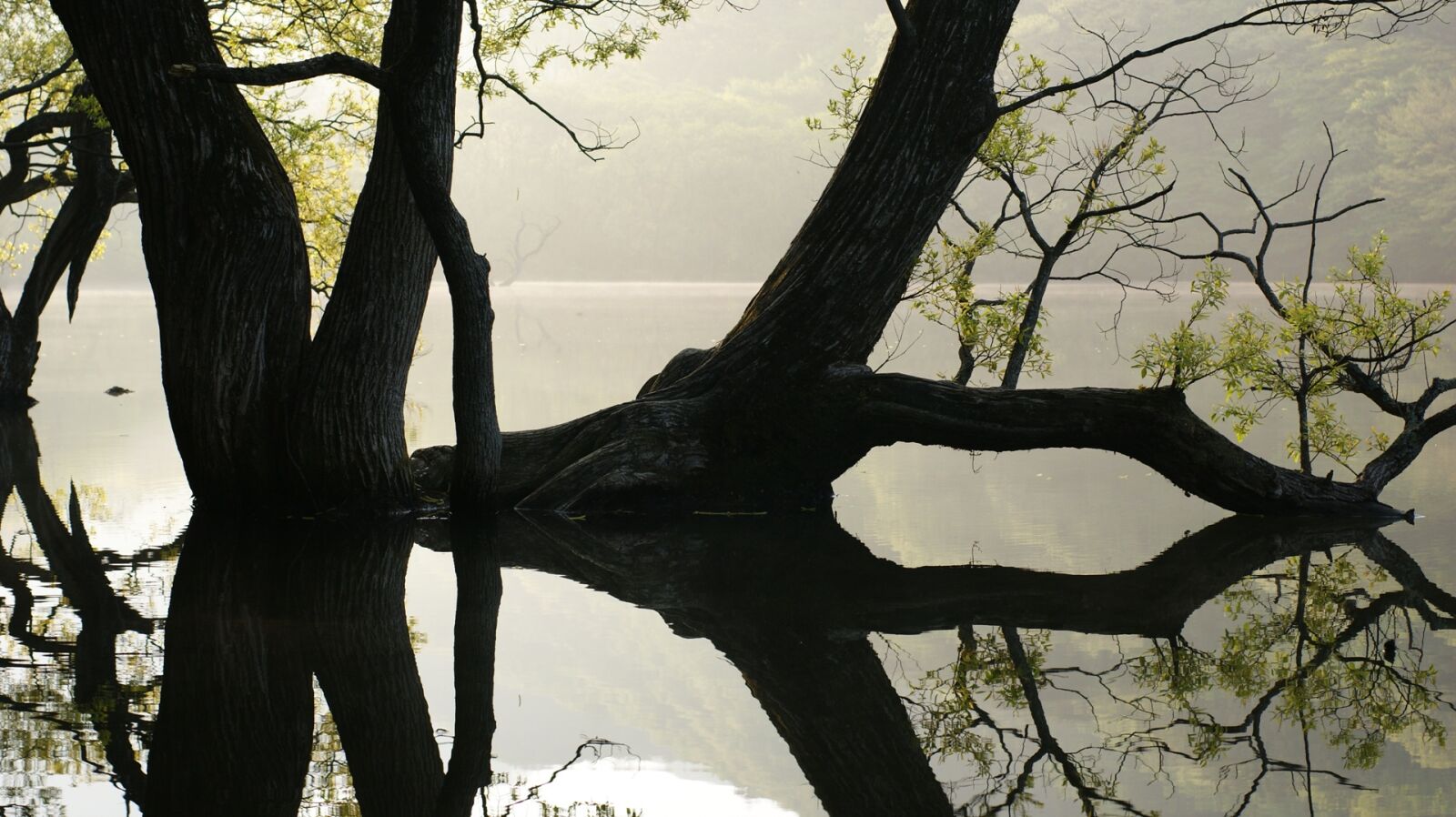 Sony Alpha DSLR-A350 sample photo. The main production, wangbeodeul photography