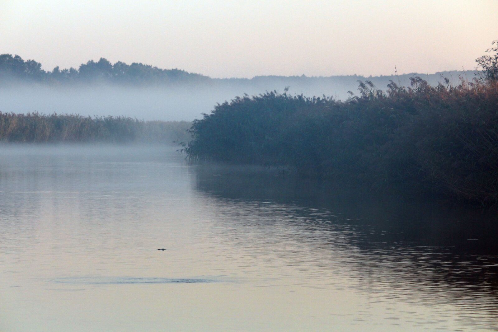 Canon EF-S 55-250mm F4-5.6 IS STM sample photo. Morning mist, fog, landscape photography