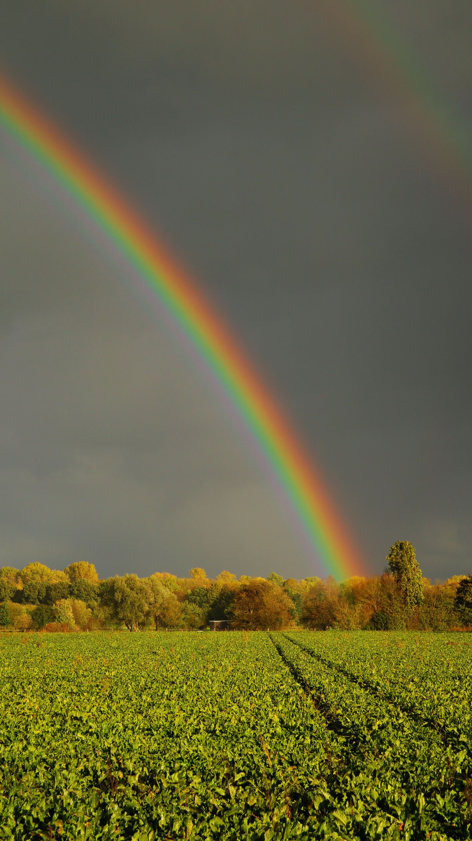 Canon EF-M 15-45mm F3.5-6.3 IS STM sample photo. Rainbow, colorful, landscape photography