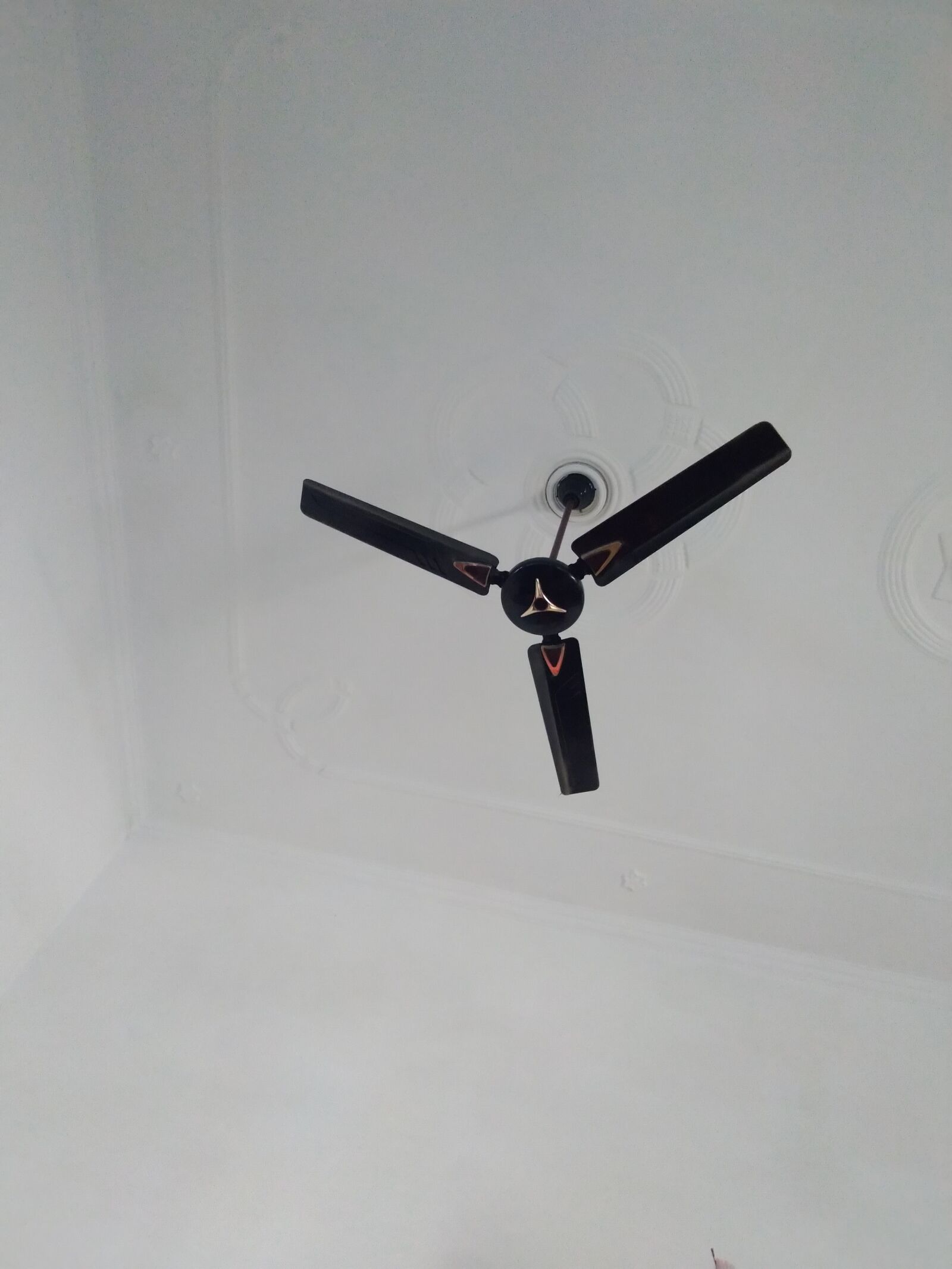 ASUS ZenFone Max Pro M1 (ZB602KL) (WW) / Max Pro M1 (ZB601KL) (IN) sample photo. Ceiling fan, fan, chat photography