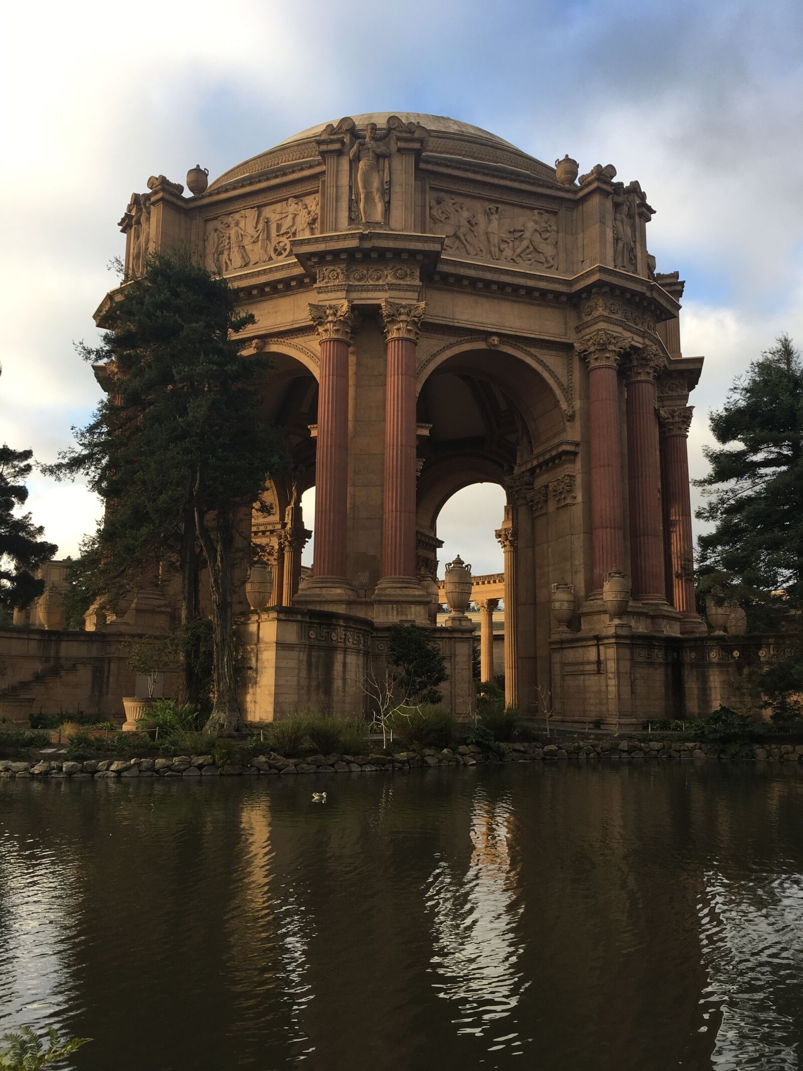 Apple iPhone 6s sample photo. Park, san francisco, bay photography