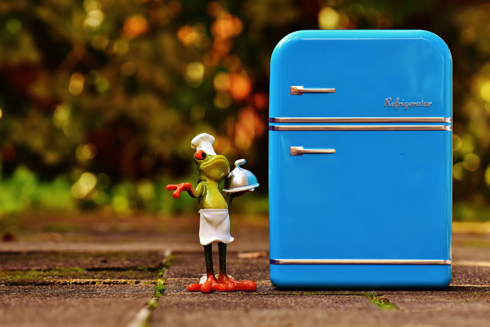 Nikon D7200 sample photo. Frog, cooking, refrigerator photography