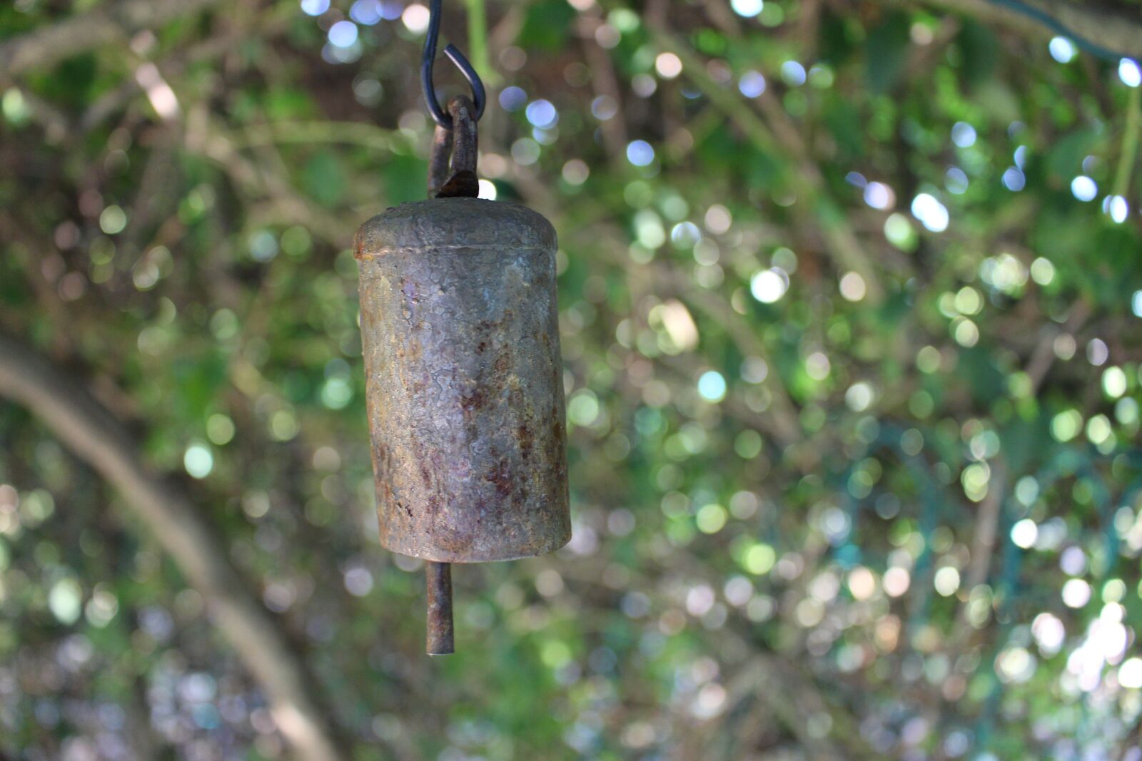 Canon EOS 700D (EOS Rebel T5i / EOS Kiss X7i) sample photo. Bell, garden, green photography