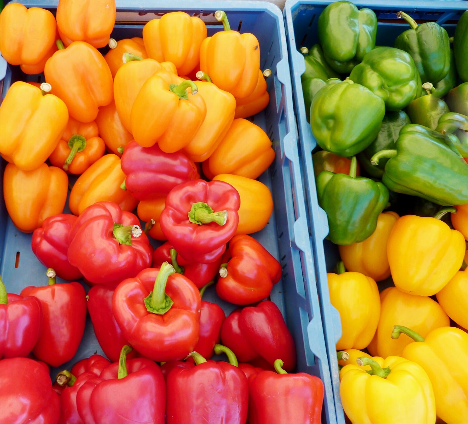 Panasonic DMC-TZ7 sample photo. Paprika, yellow, red pepper photography