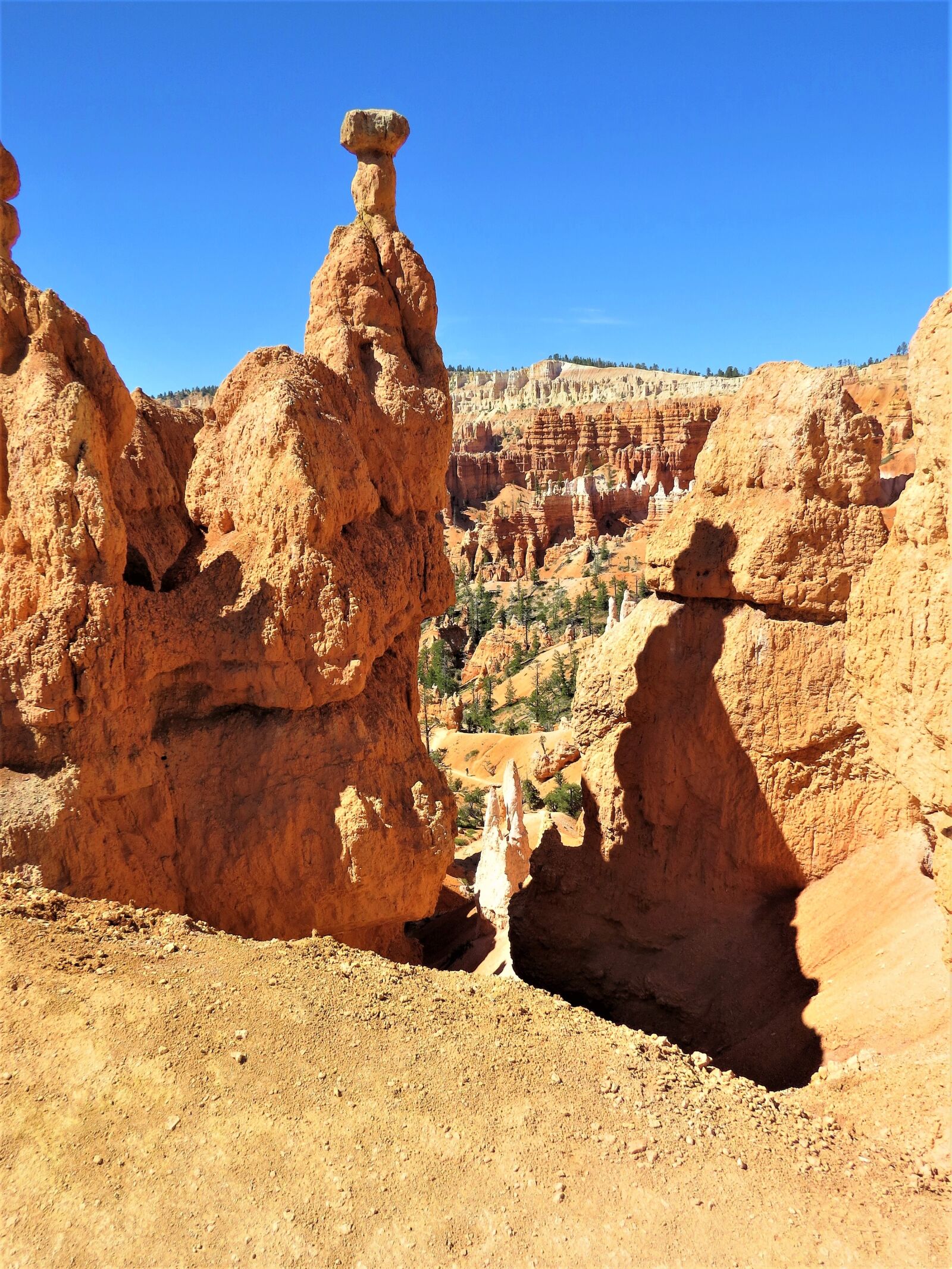 Canon PowerShot SX50 HS sample photo. Bryce canyon, red sandstone photography