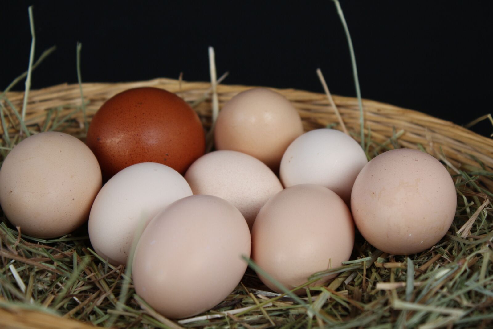 Canon EF-S 18-55mm F3.5-5.6 IS sample photo. Egg, nest easter, straw photography