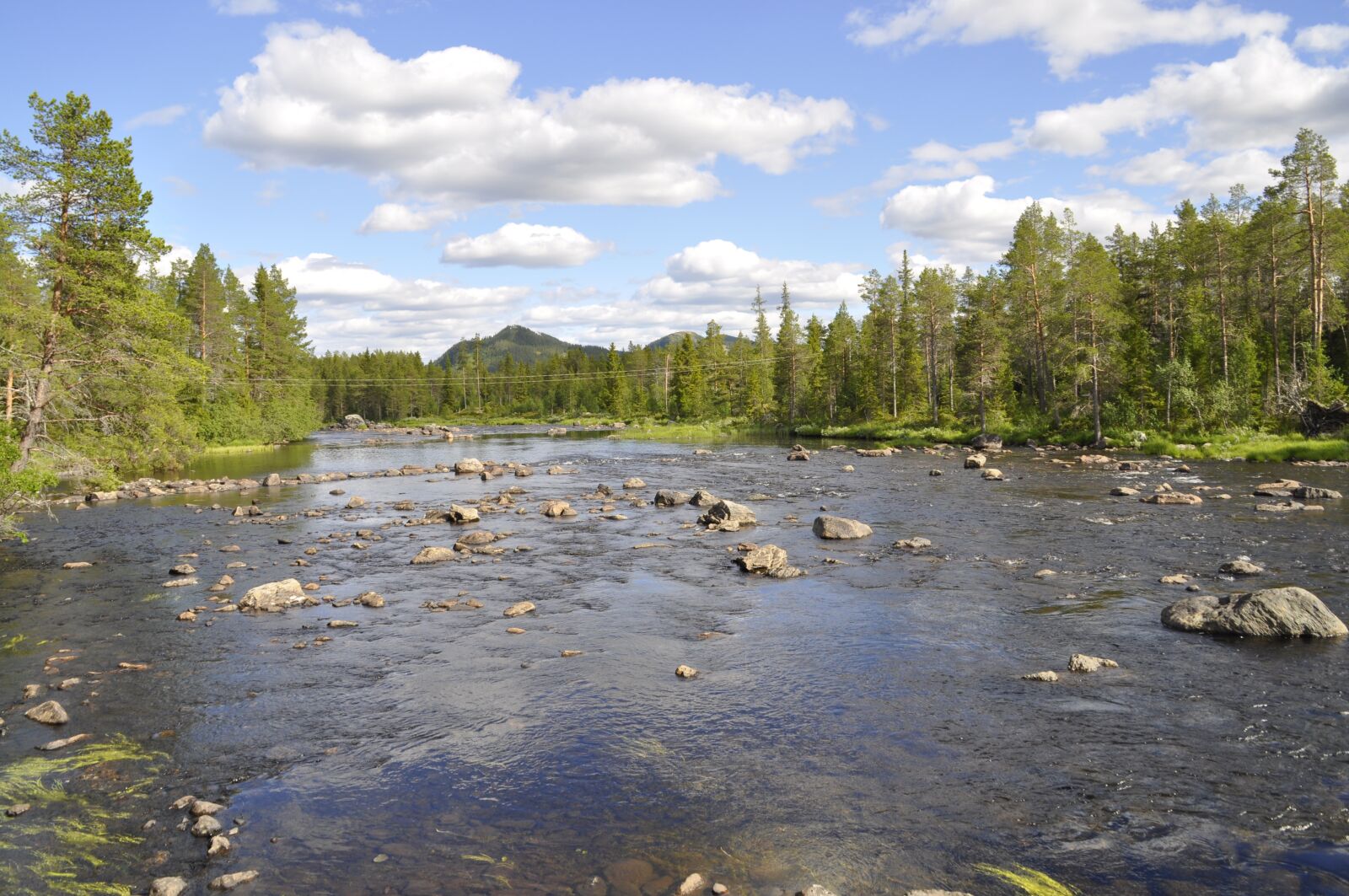Nikon D5000 sample photo. Sweden, dalarna, nature photography