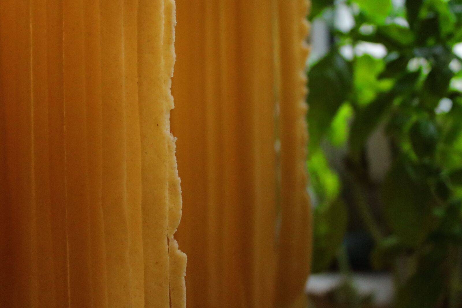 Canon EOS 2000D (EOS Rebel T7 / EOS Kiss X90 / EOS 1500D) sample photo. Pasta, noodles, homemade photography