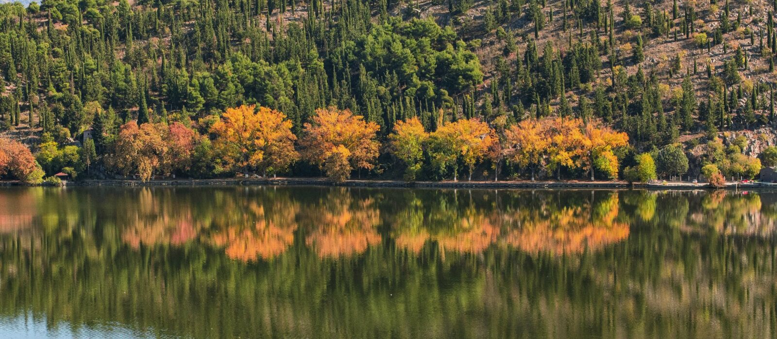 Tamron SP 24-70mm F2.8 Di VC USD sample photo. Trees, lake, autumn photography