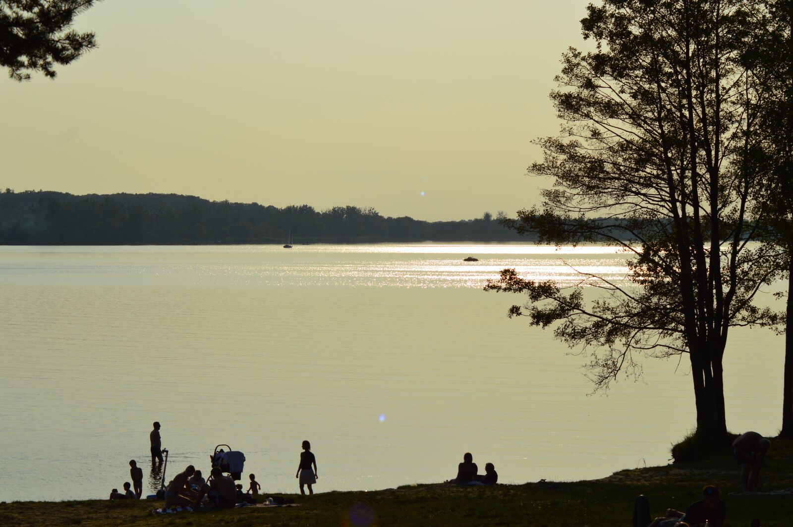 Nikon D3200 sample photo. Pławniowice, silesia, lake photography