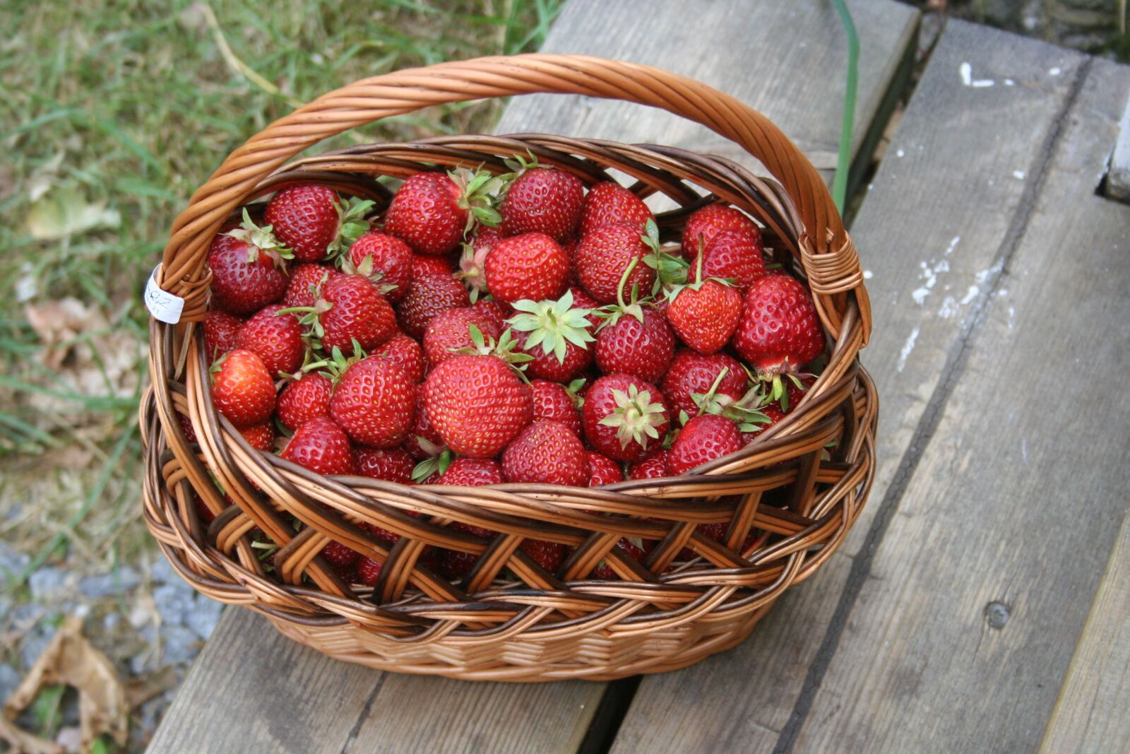 Canon EOS 350D (EOS Digital Rebel XT / EOS Kiss Digital N) sample photo. Summer, strawberries, basket photography