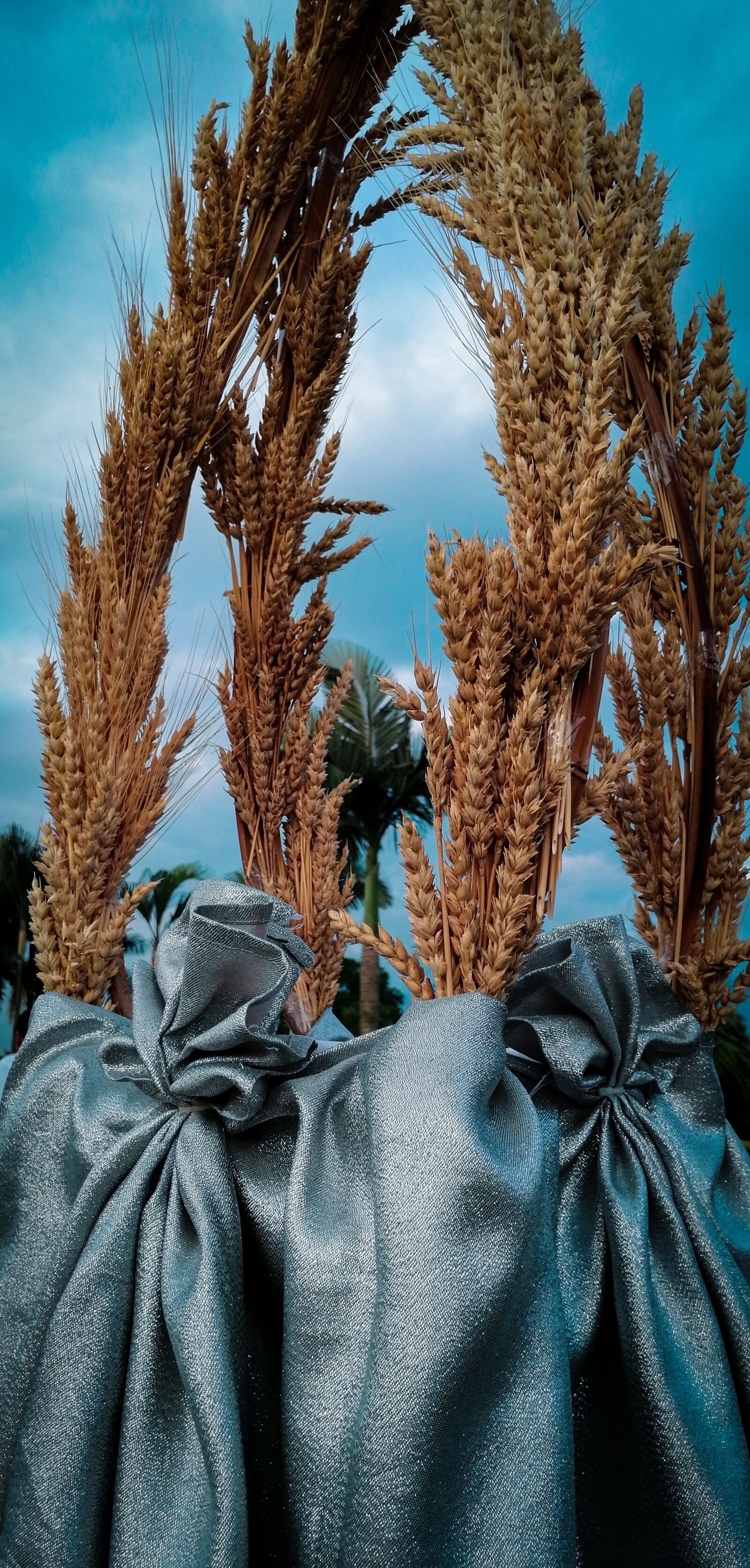 HUAWEI SNE-LX3 sample photo. Wheat, palms, decoration photography