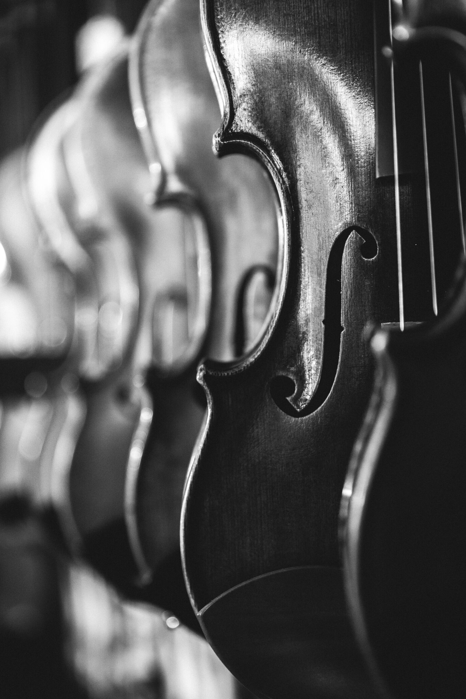 Canon EF 24-70mm F2.8L II USM sample photo. Antique, violins, classical music photography