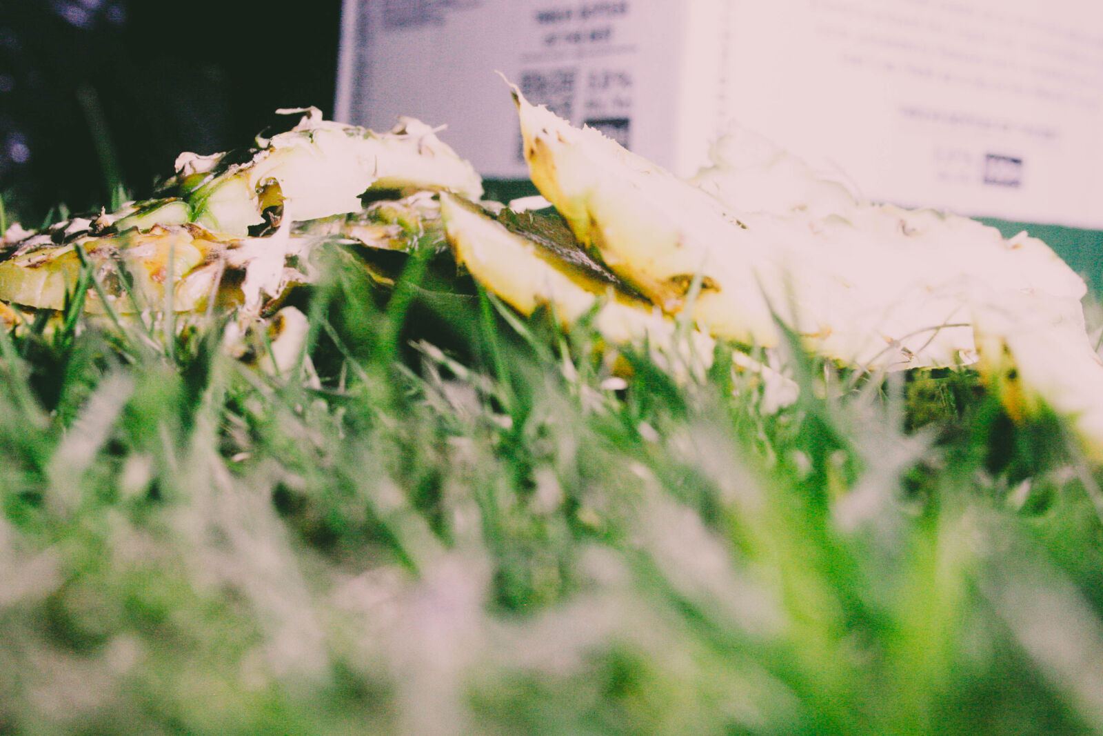 Canon EOS 20D sample photo. Compost, cut, food, scraps photography