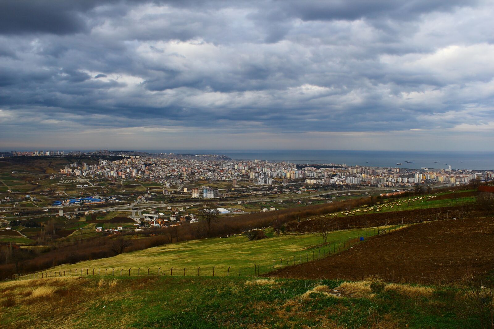 Canon EOS 550D (EOS Rebel T2i / EOS Kiss X4) sample photo. Mastiff, landscape, photo photography
