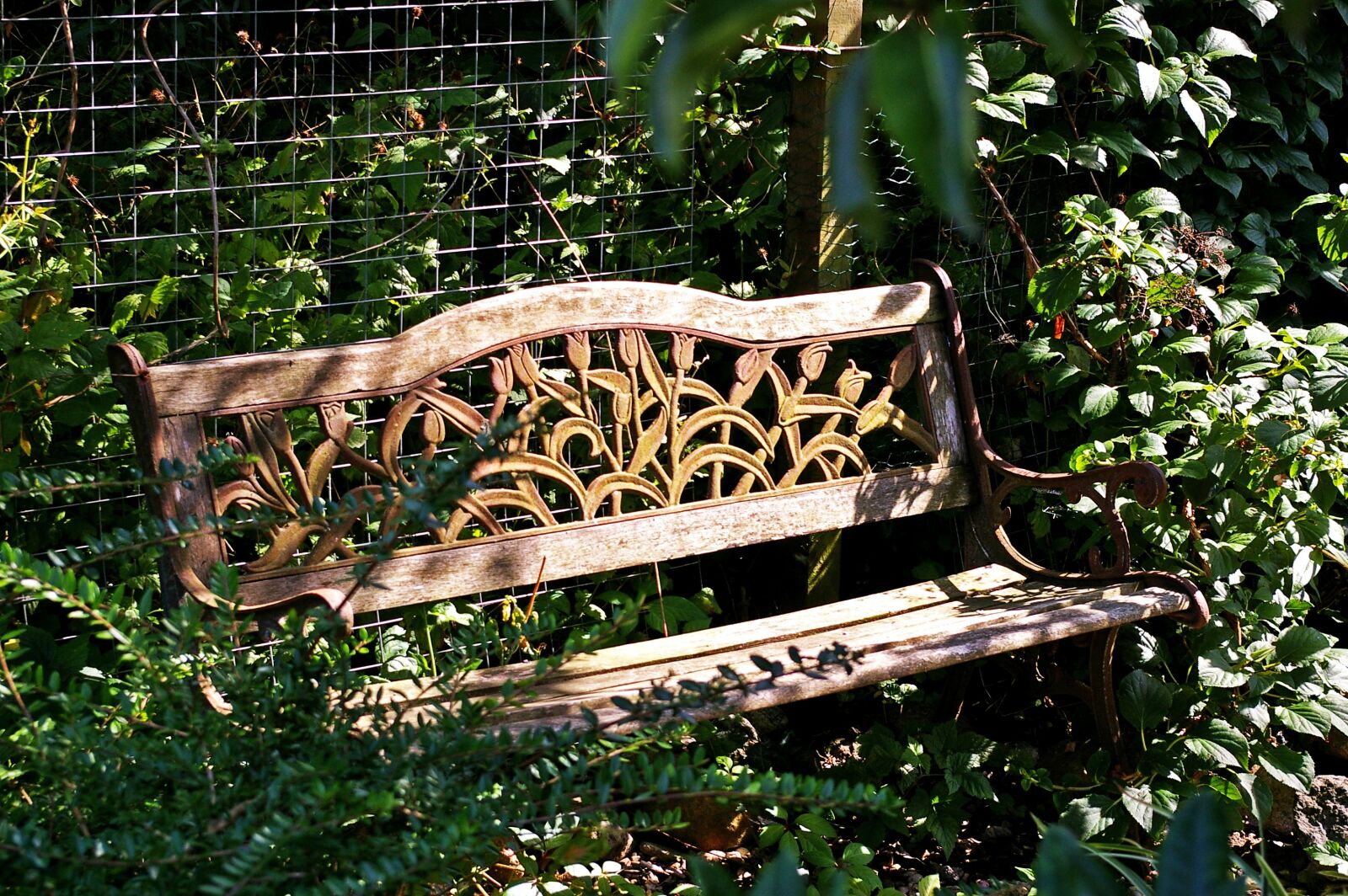 Pentax *ist DL2 sample photo. Garden bench, bank, rest photography