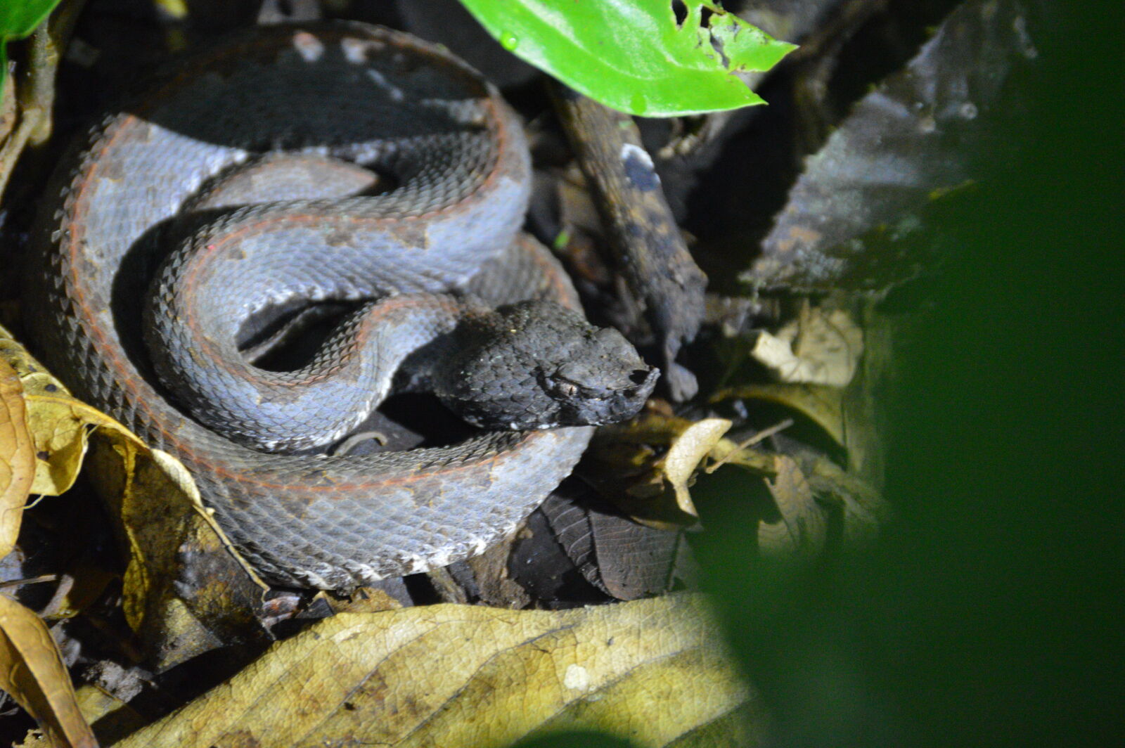 Nikon D3200 sample photo