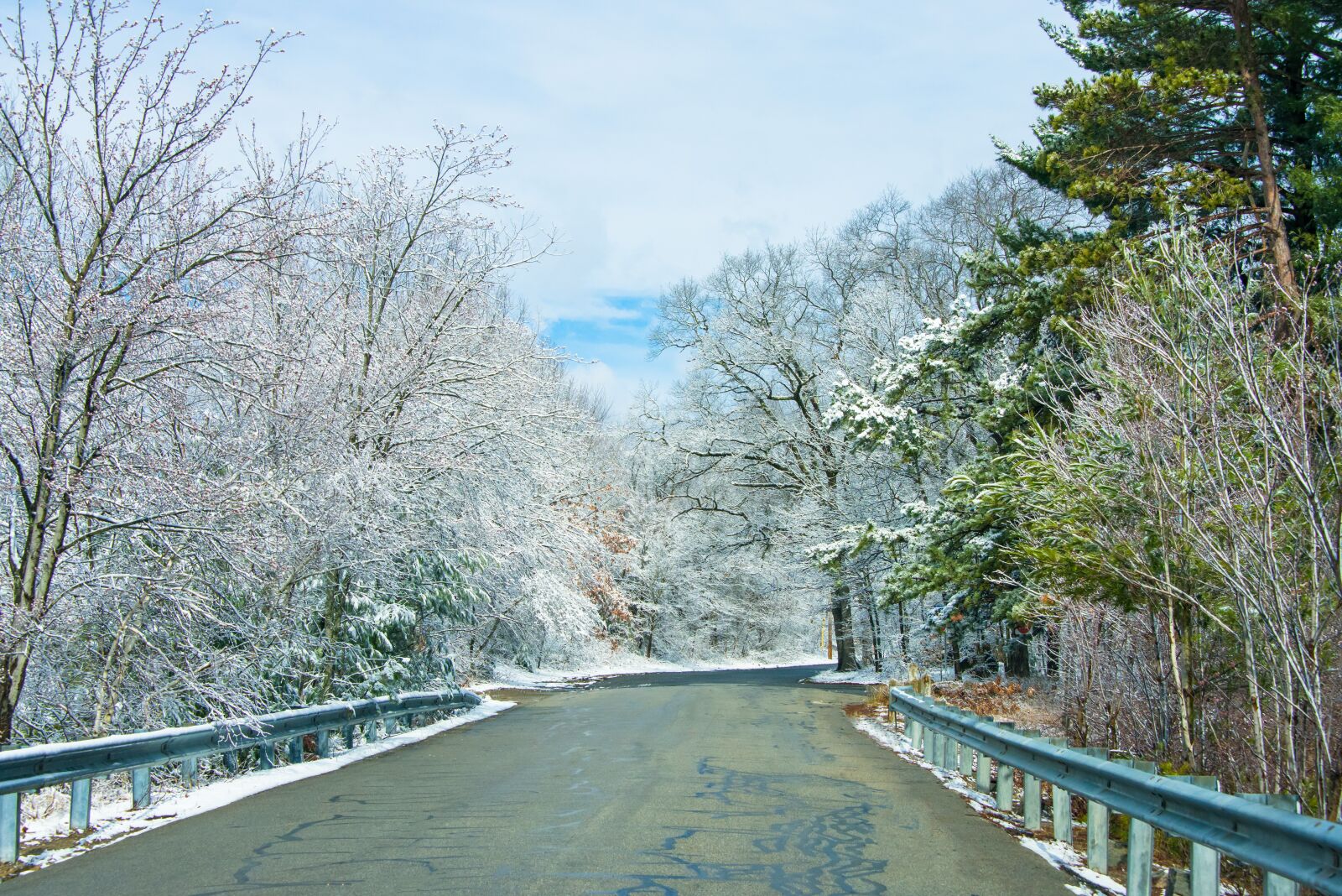 Nikon D800 sample photo. Snow, trees, road photography