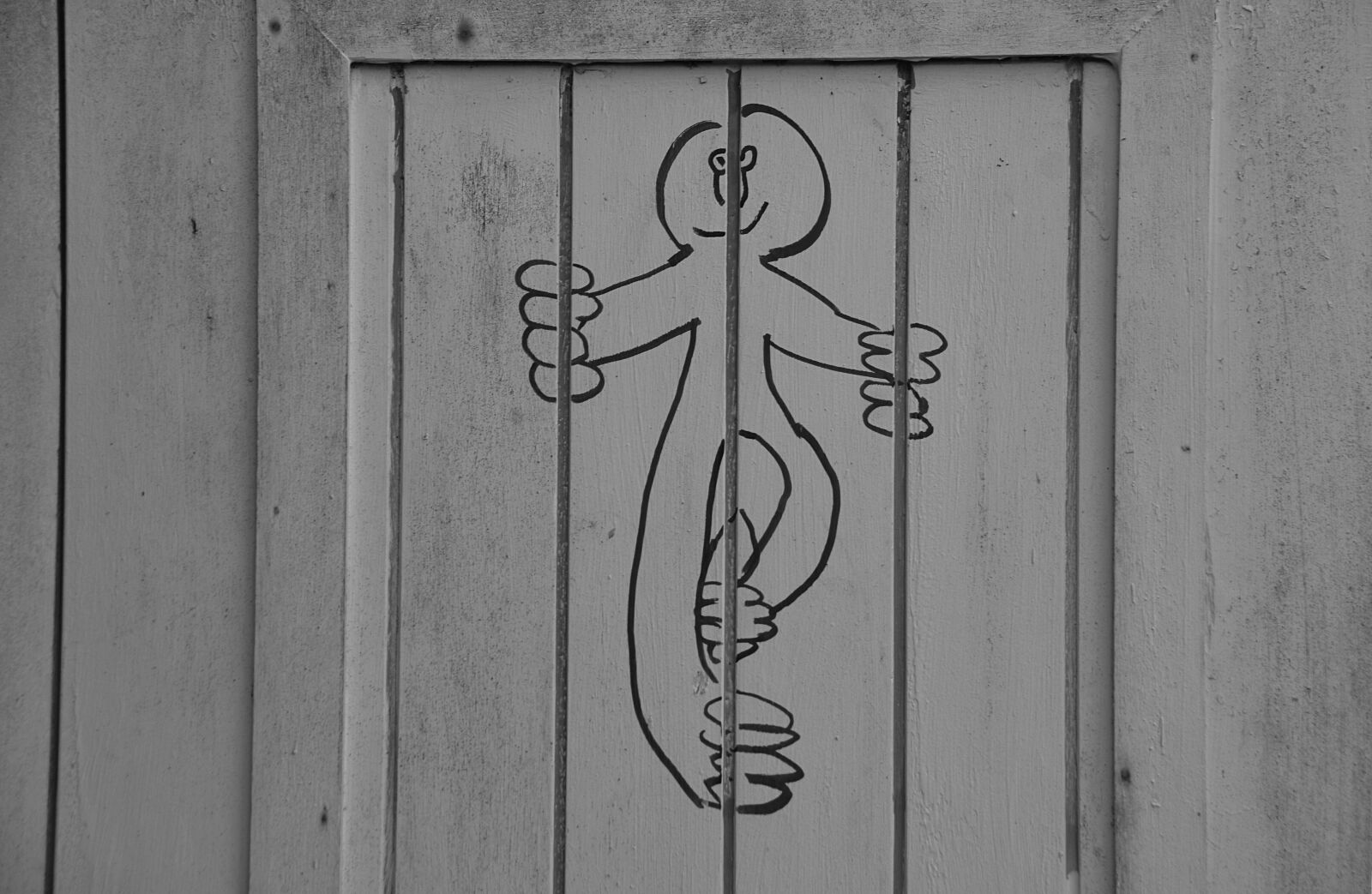 Nikon D5200 sample photo. Door, drawing, humor photography